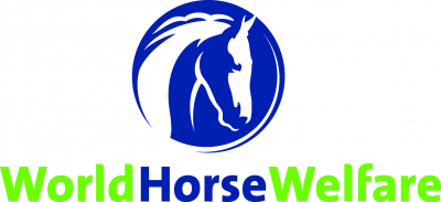 World Horse Welfare