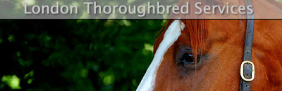 London Thoroughbred Services