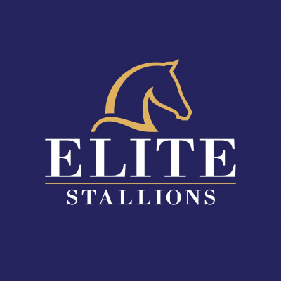 Elite Stallions UK Ltd