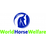 World Horse Welfare