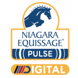 Niagara Equissage