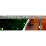 London Thoroughbred Services